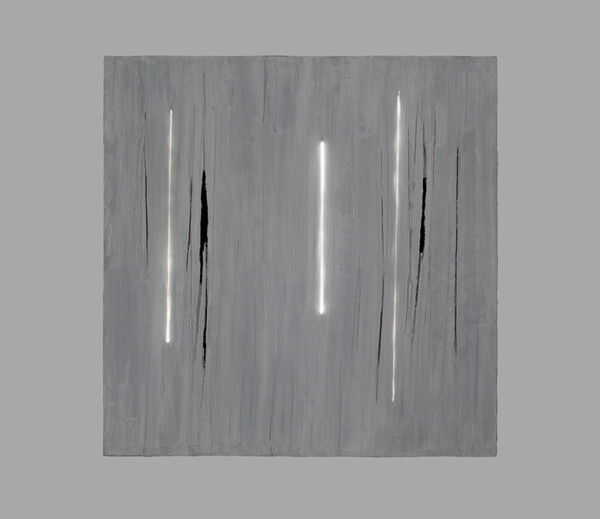 Pequeña gris